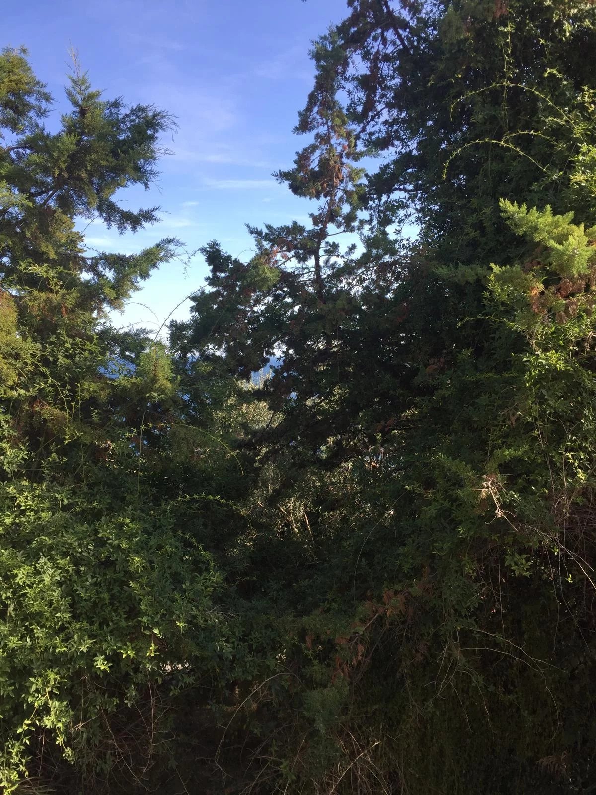 Vendita Villa - Ospedaletti Circuito - Italia