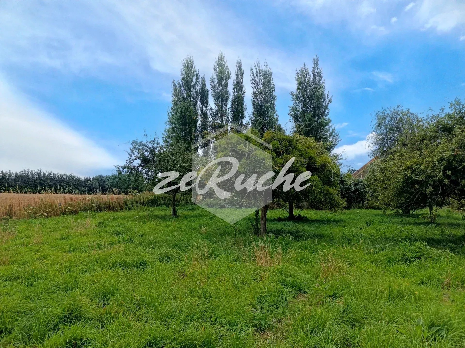 Agence immobilière de ZERUCHE