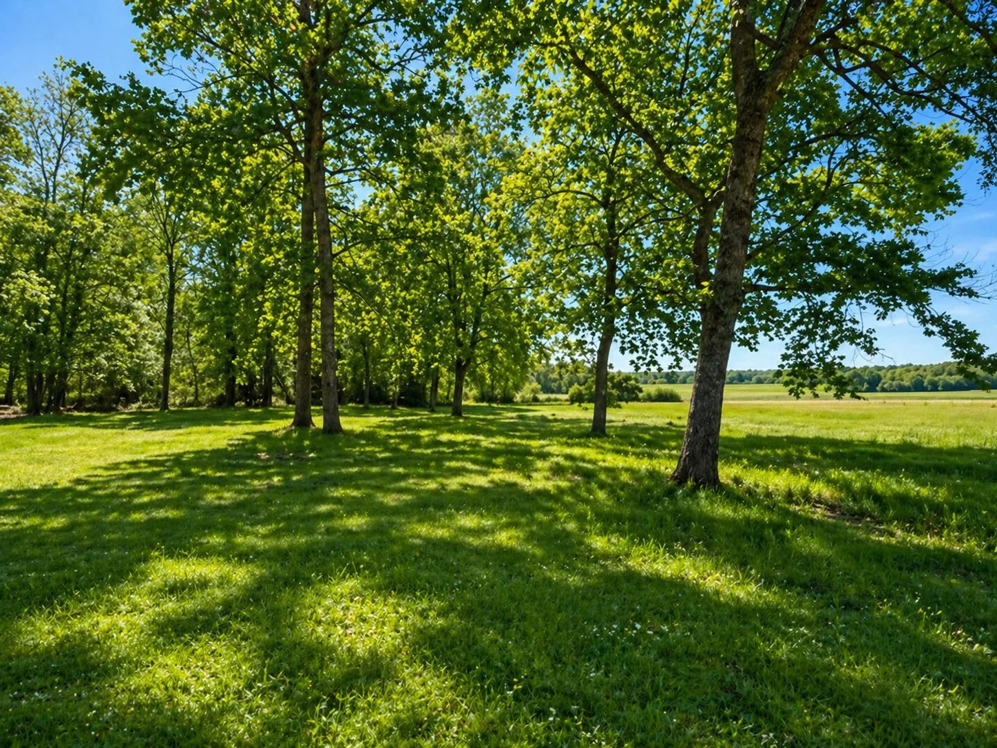 PROPRIÉTÉ À FORT POTENTIEL – PARCELLE DE 4218 m² - Photo 2