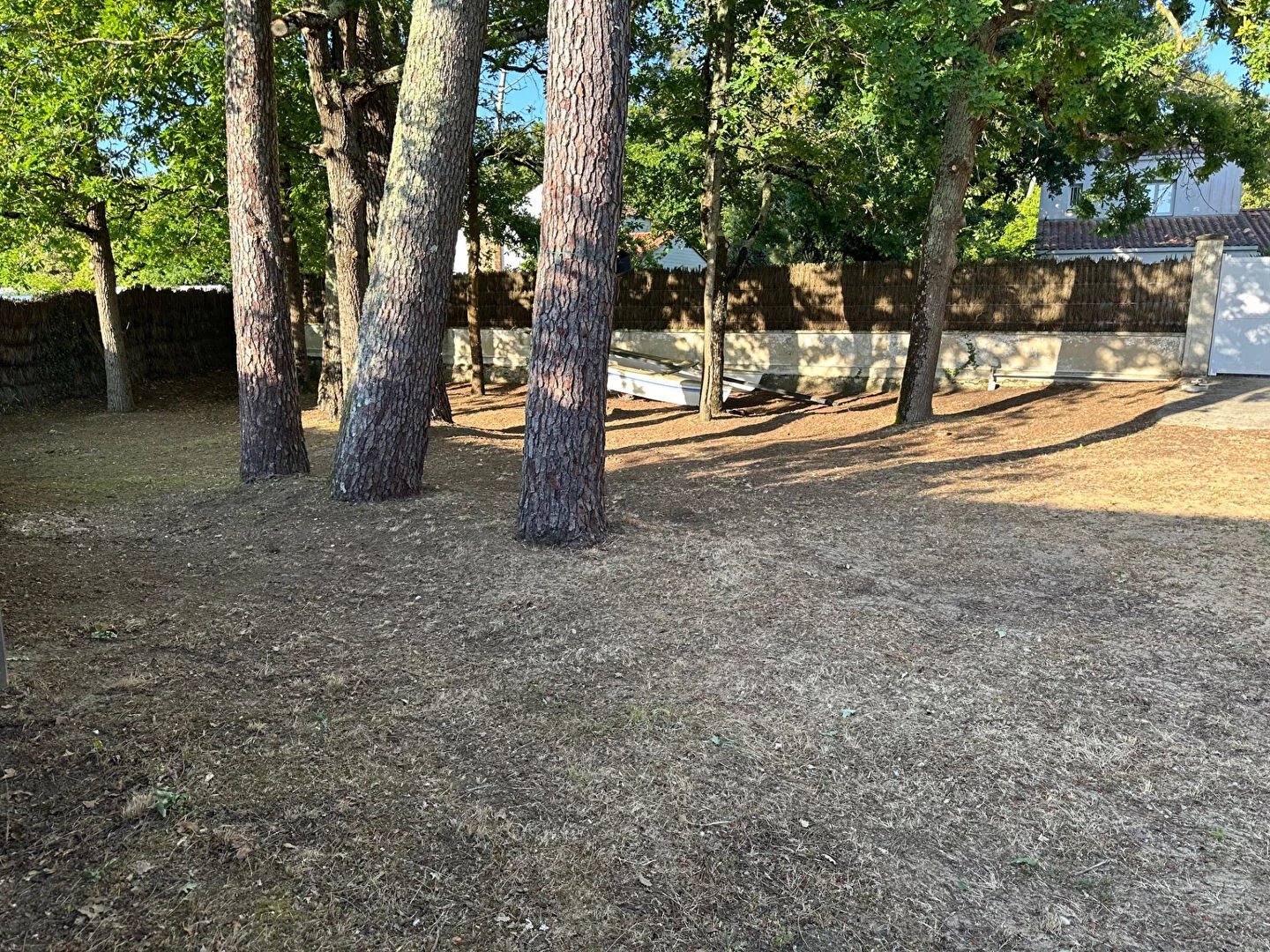 Vente Terrain Jard-sur-Mer