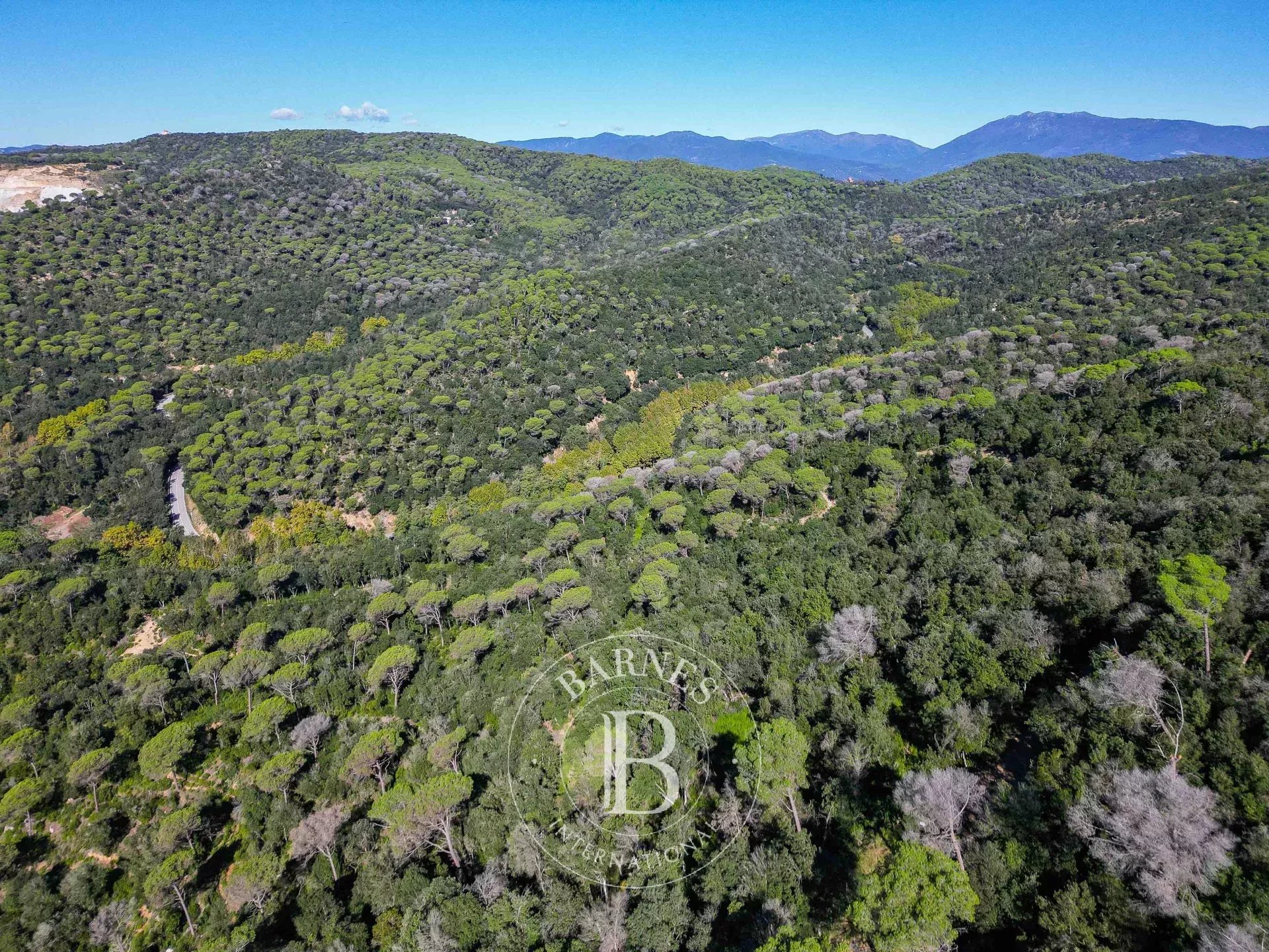 Arazi Dosríus - picture 25