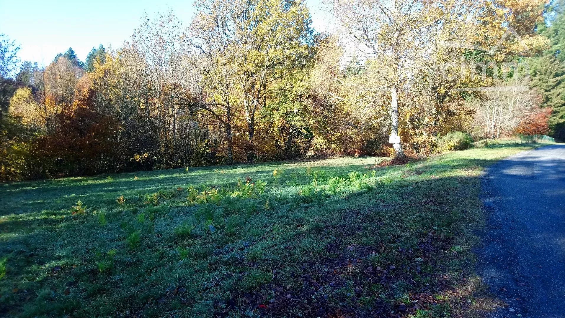 Agence immobilière de Cimm immobilier Royere de Vassivière