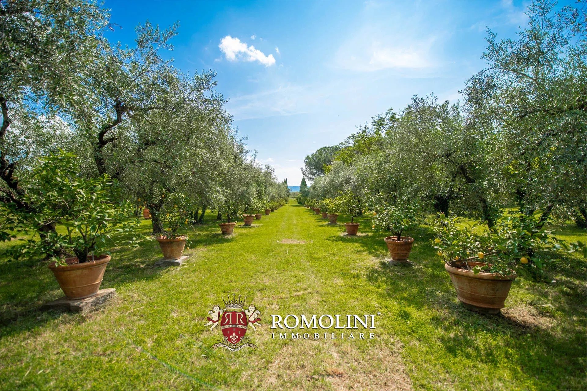 16 Bedroom Vineyard's Image 6