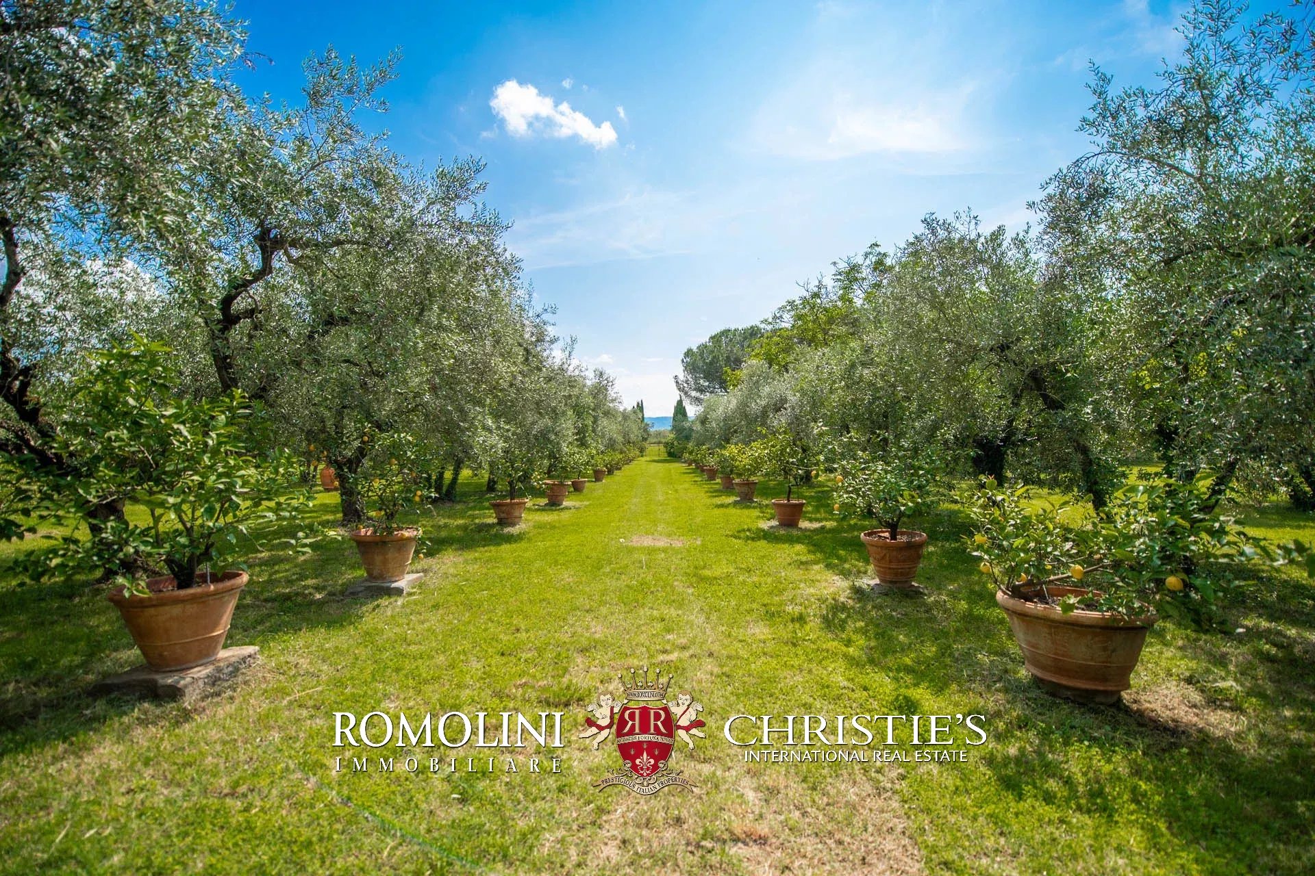 16 Bedroom Vineyard's Image 6