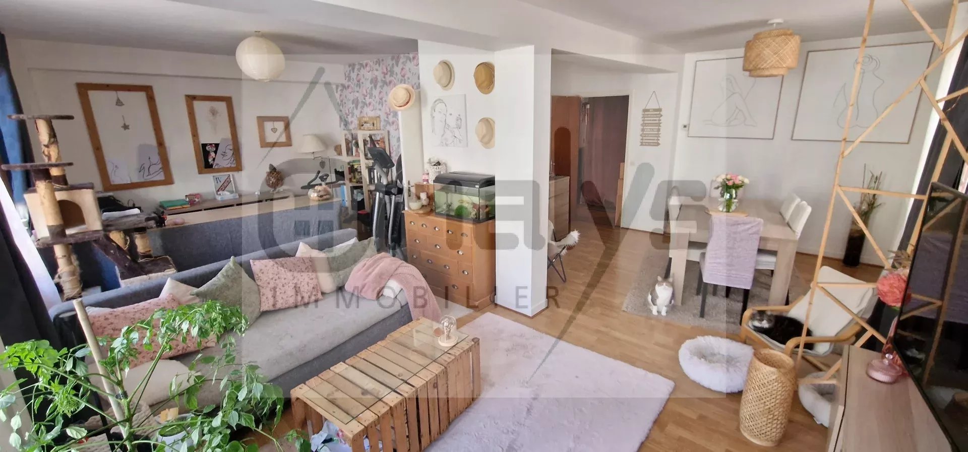Vente Immeuble Aire-sur-la-Lys