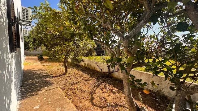 Villa T3 with Sea View 8700-061 image 29
