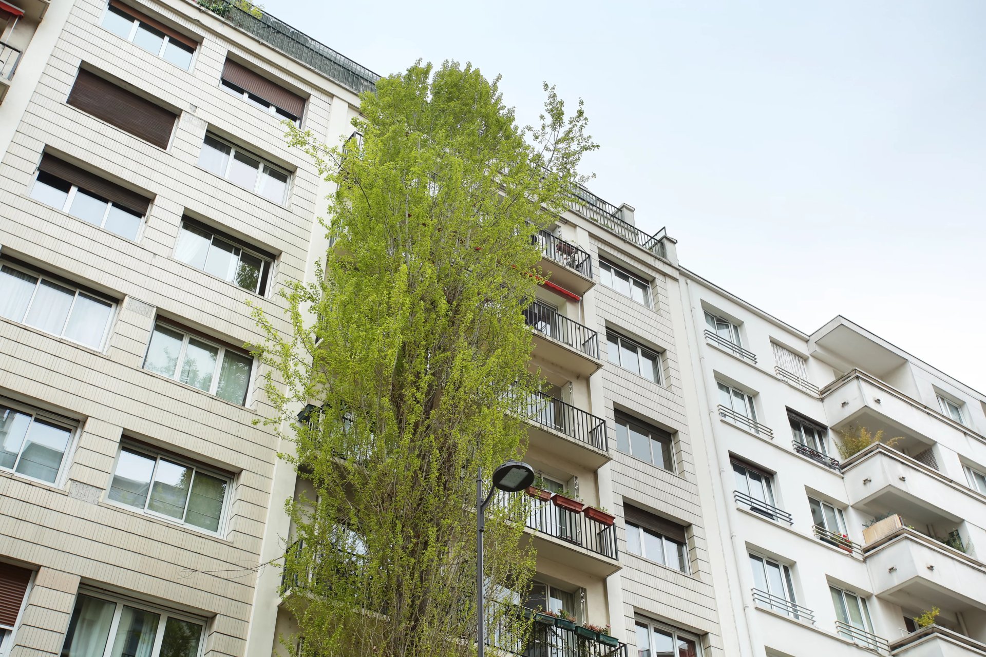1 Bedroom Apartment/Flat's Image 10
