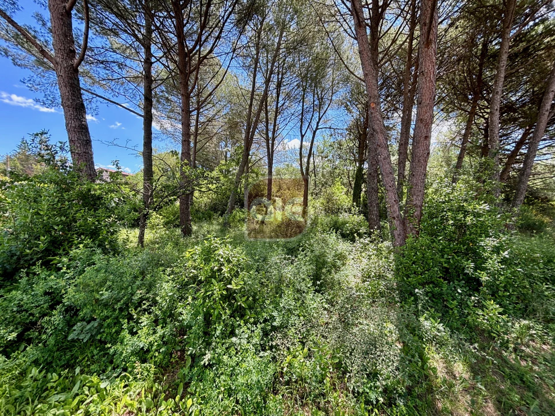 Vente Terrain Prades-le-Lez