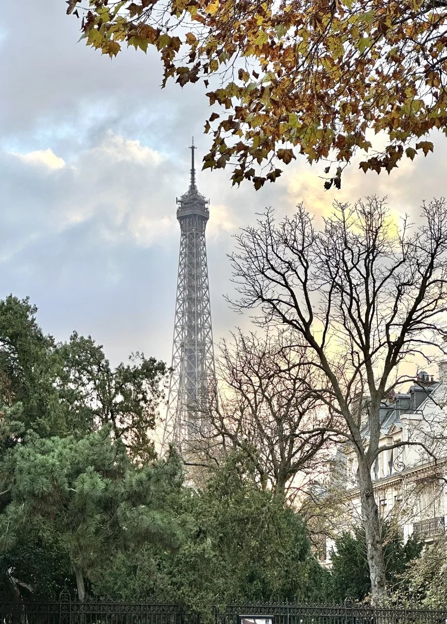 Sale Apartment Paris 16th