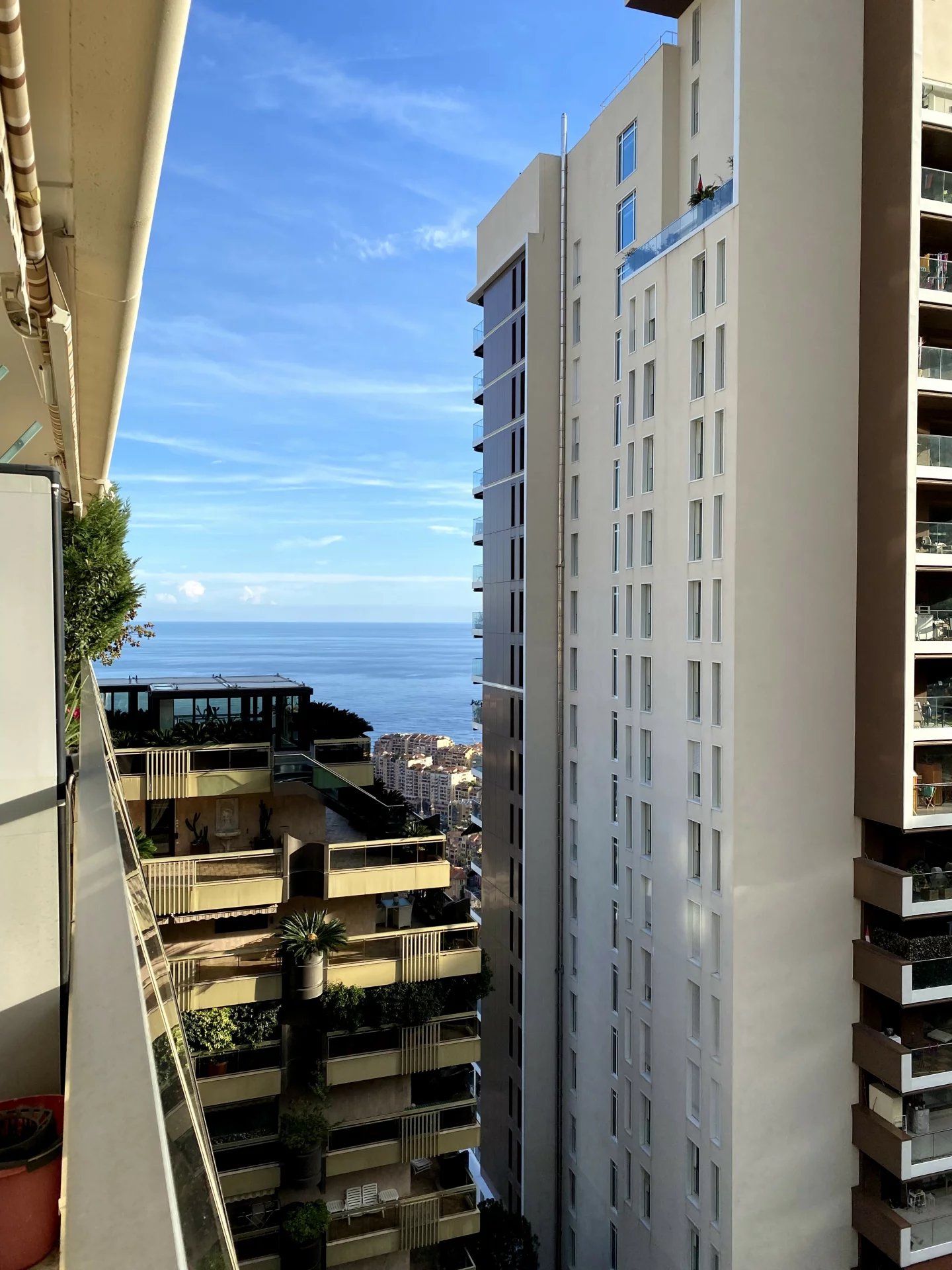 Location Appartement Monaco Jardin Exotique
