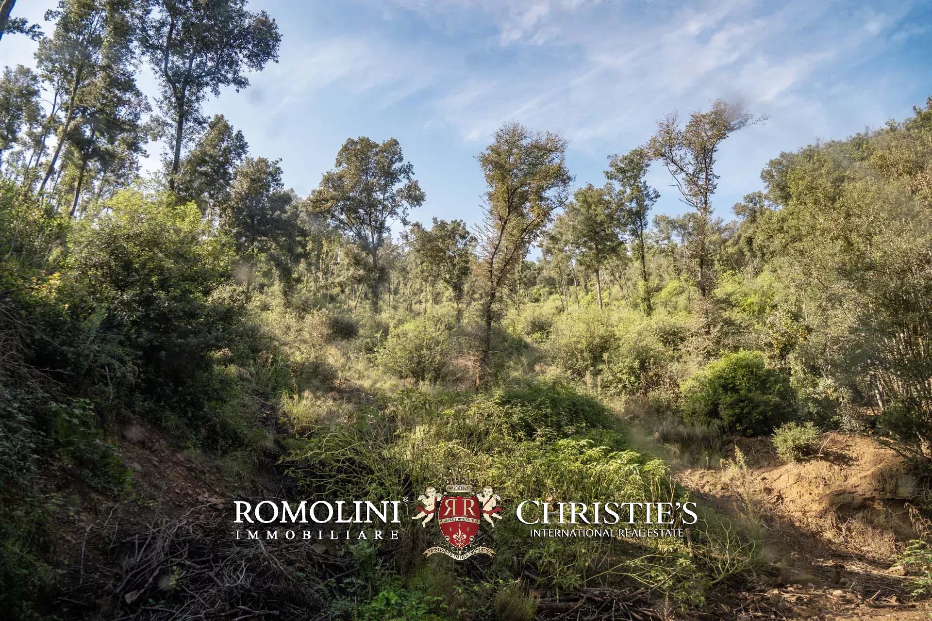 324-HA HUNTING RESERVE WITH DEVELOPMENT PROJECT FOR SALE IN MAREMMA, TUSCAN COAST