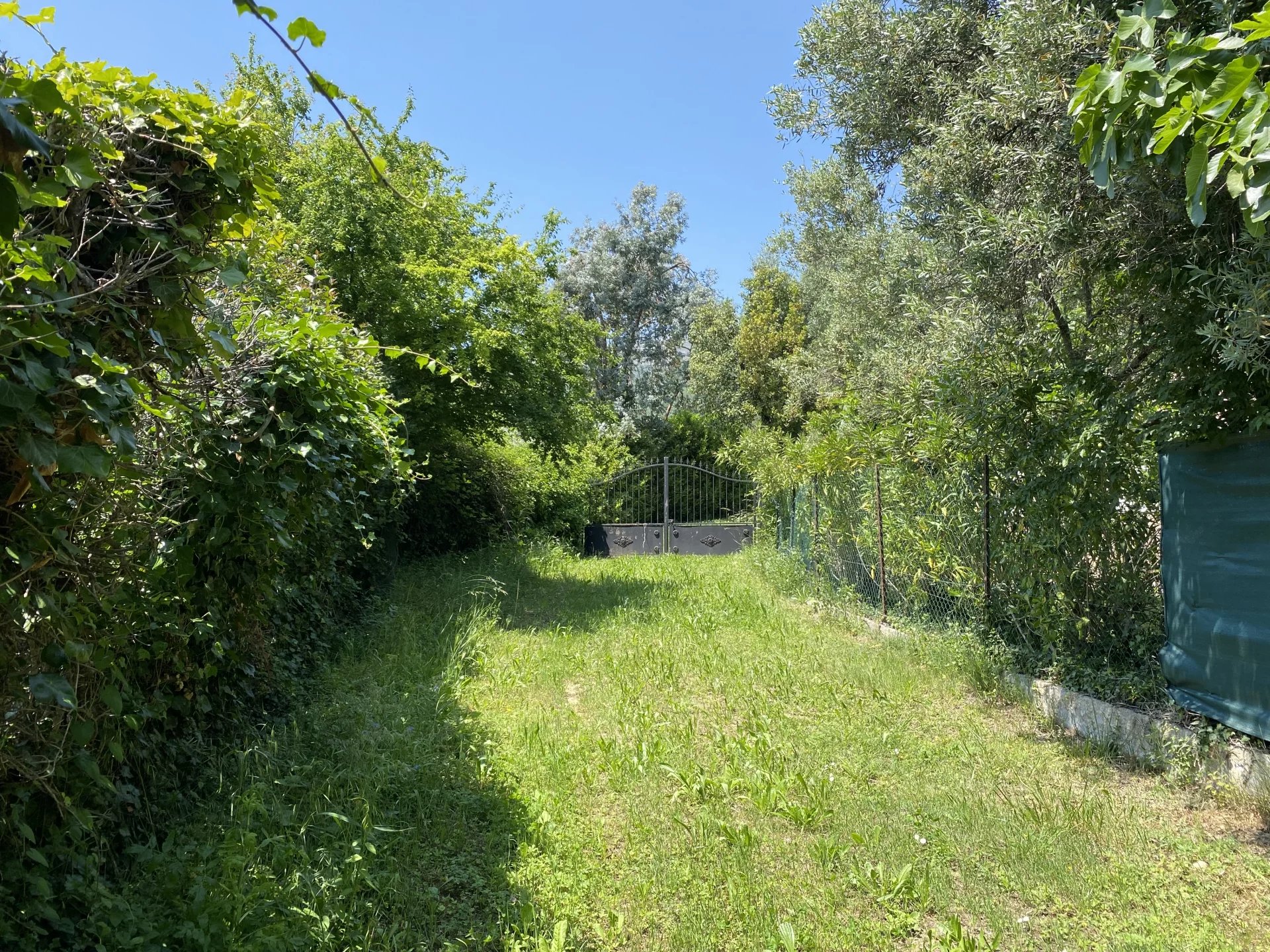 VENCE TERRAIN 2000 m²