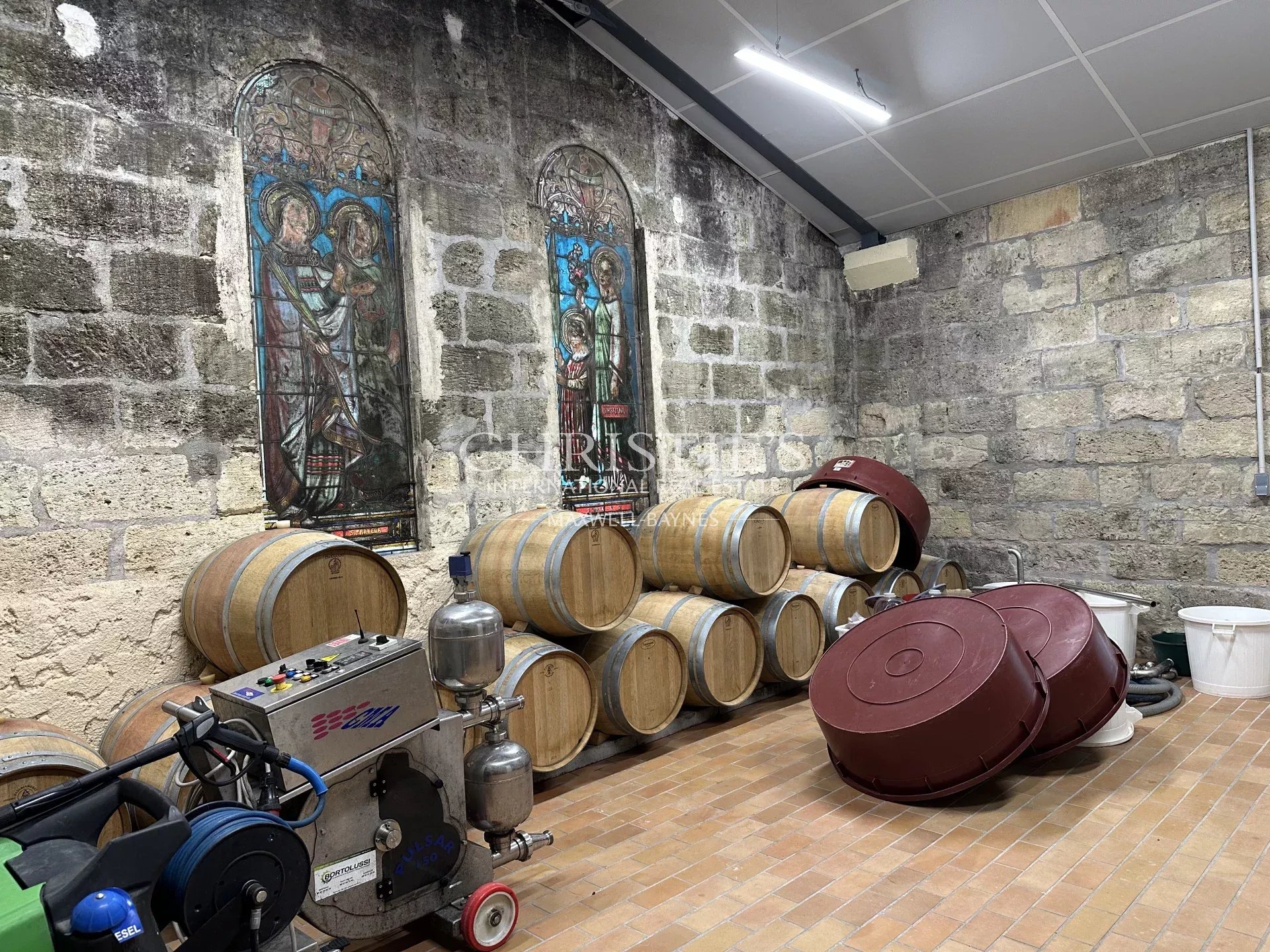 Vineyard's Image 8