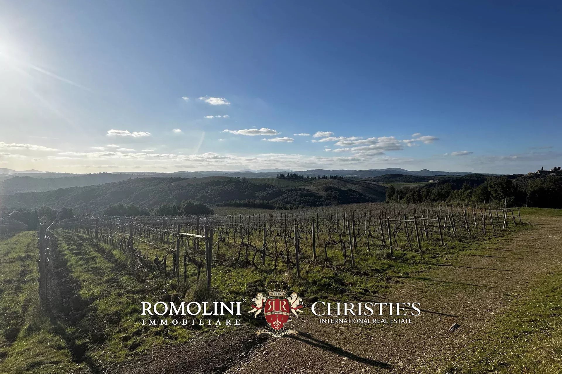 8 Bedroom Vineyard's Image 32