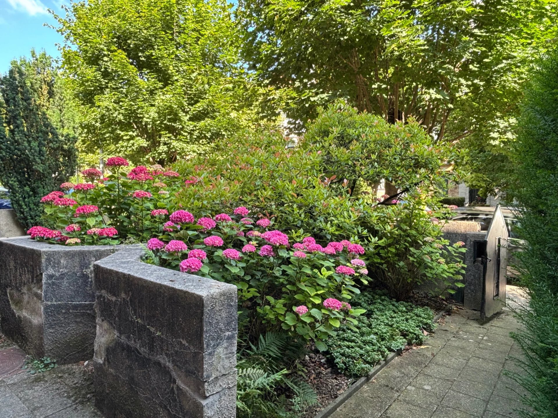 Ev Woluwe-Saint-Pierre - picture 23