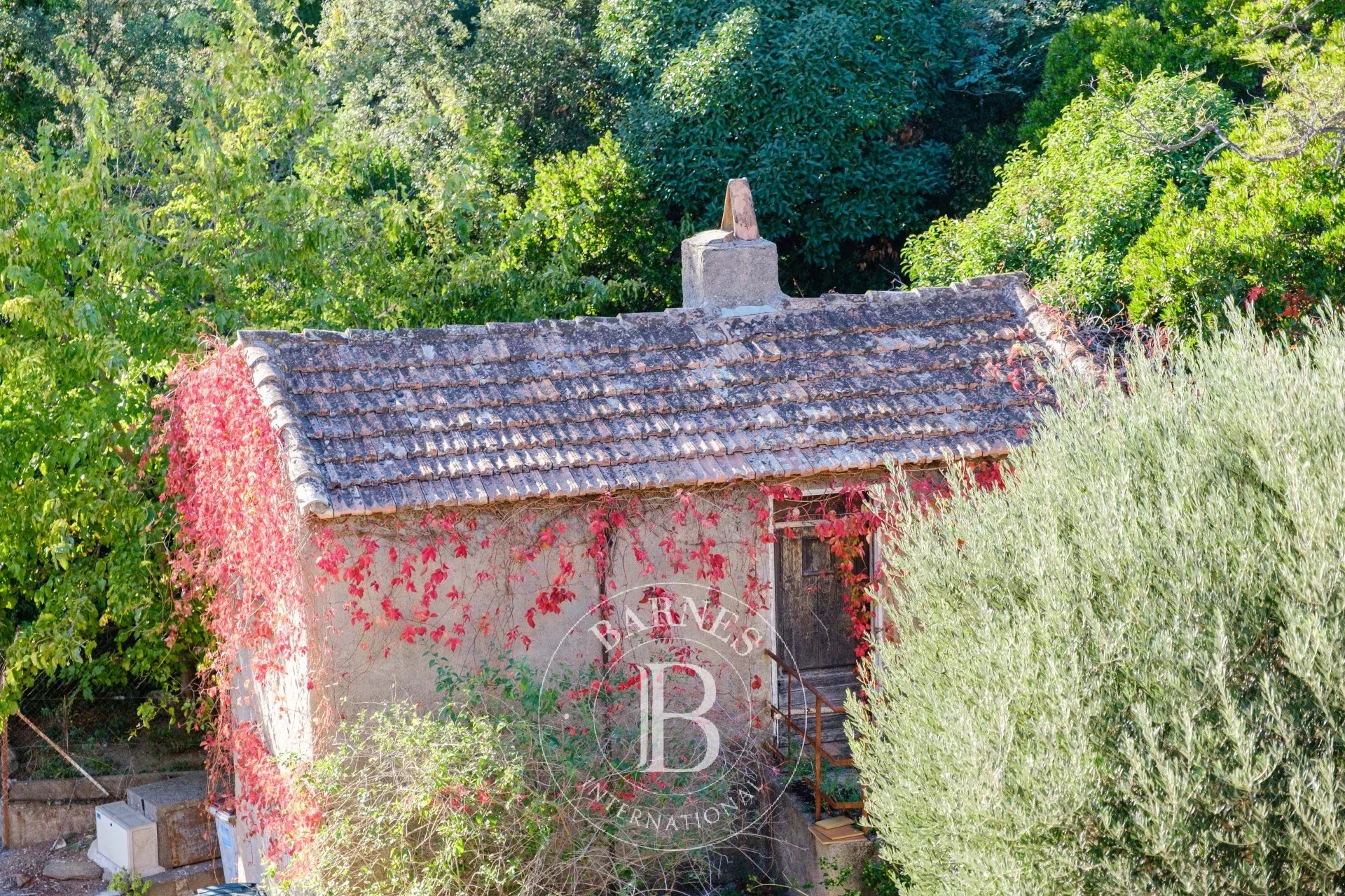 Daire Grimaud - picture 26