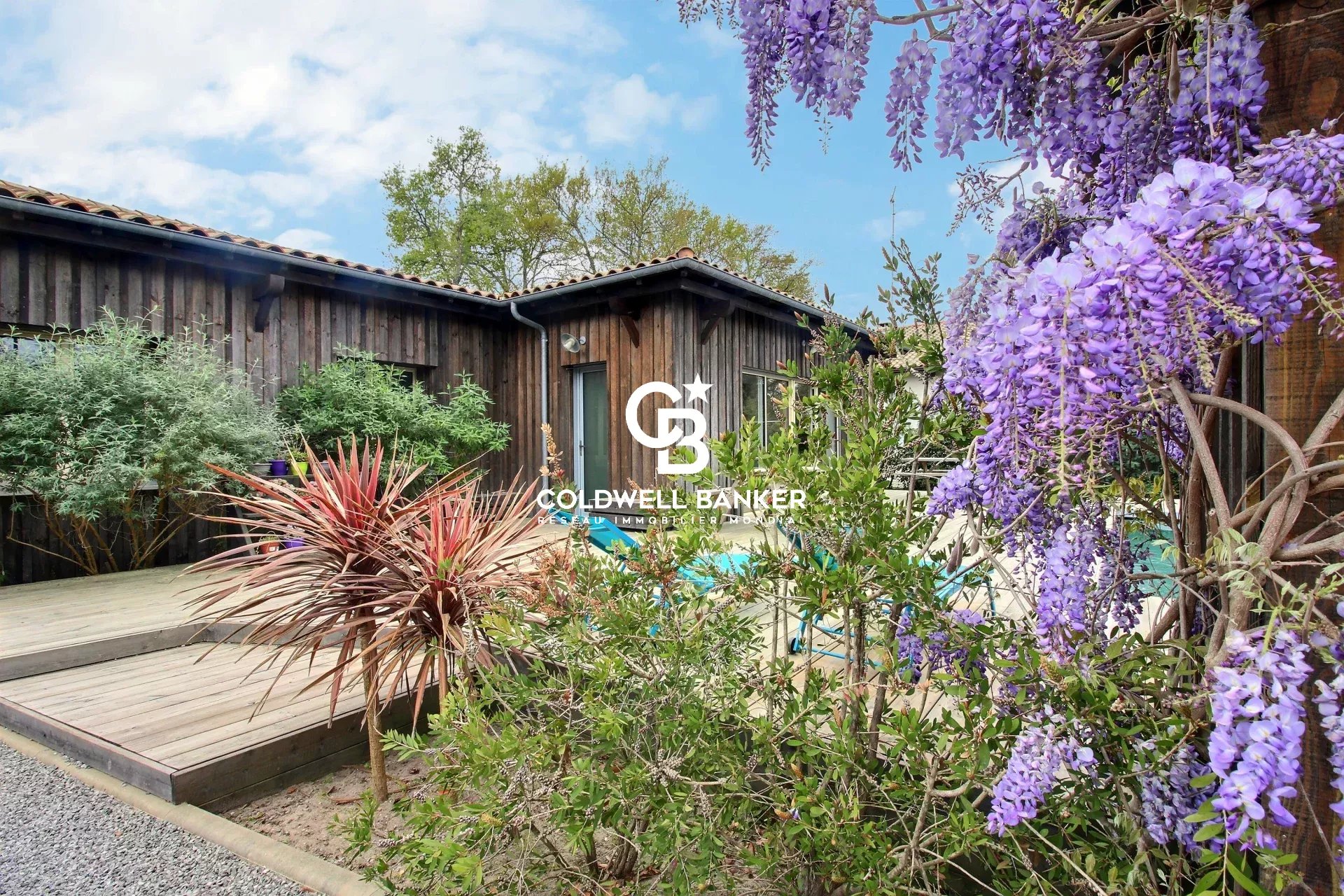 Agence immobilière de Silver Coast Int. Realty
