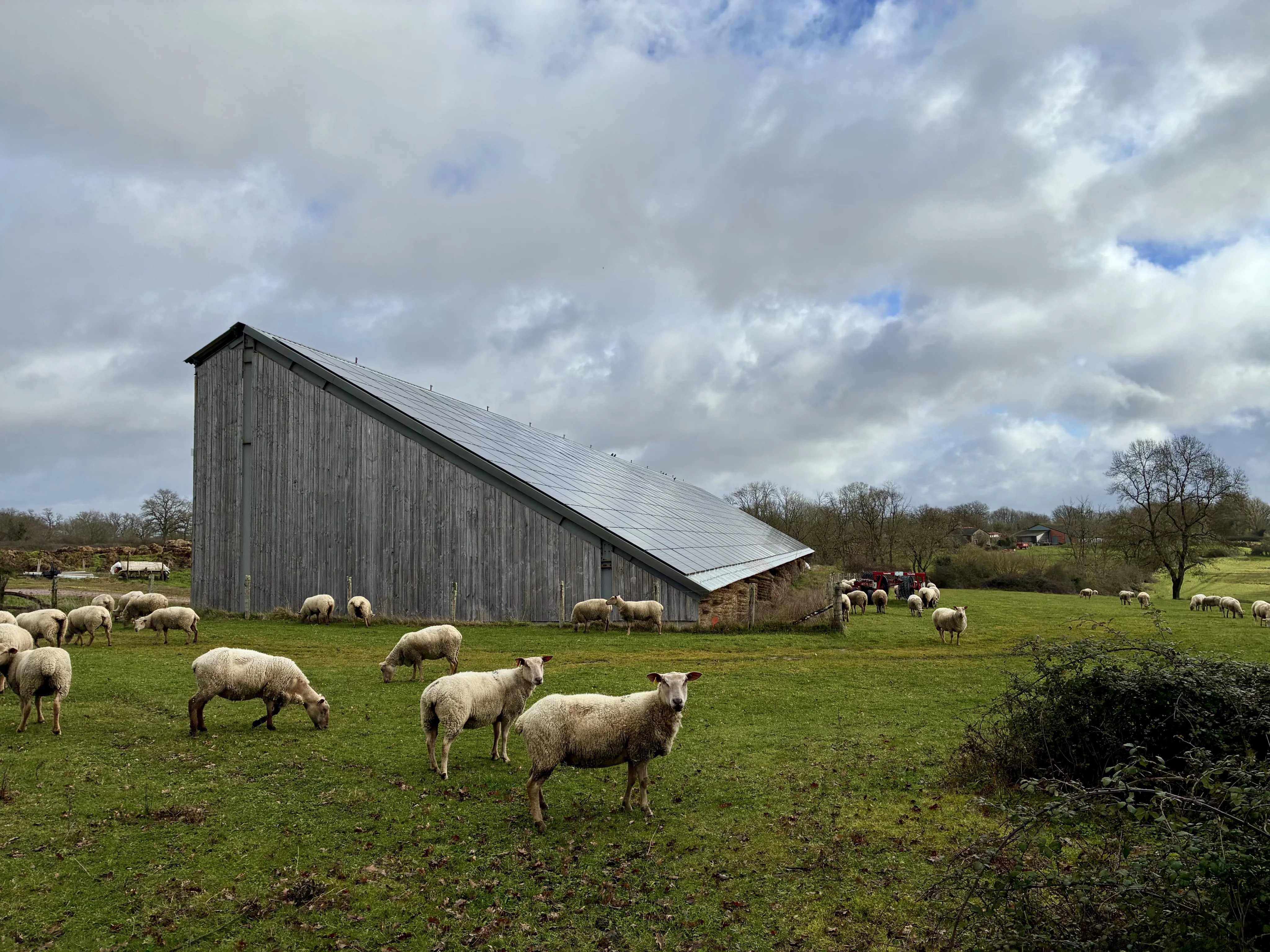 House in Availles-Limouzine - Image 4