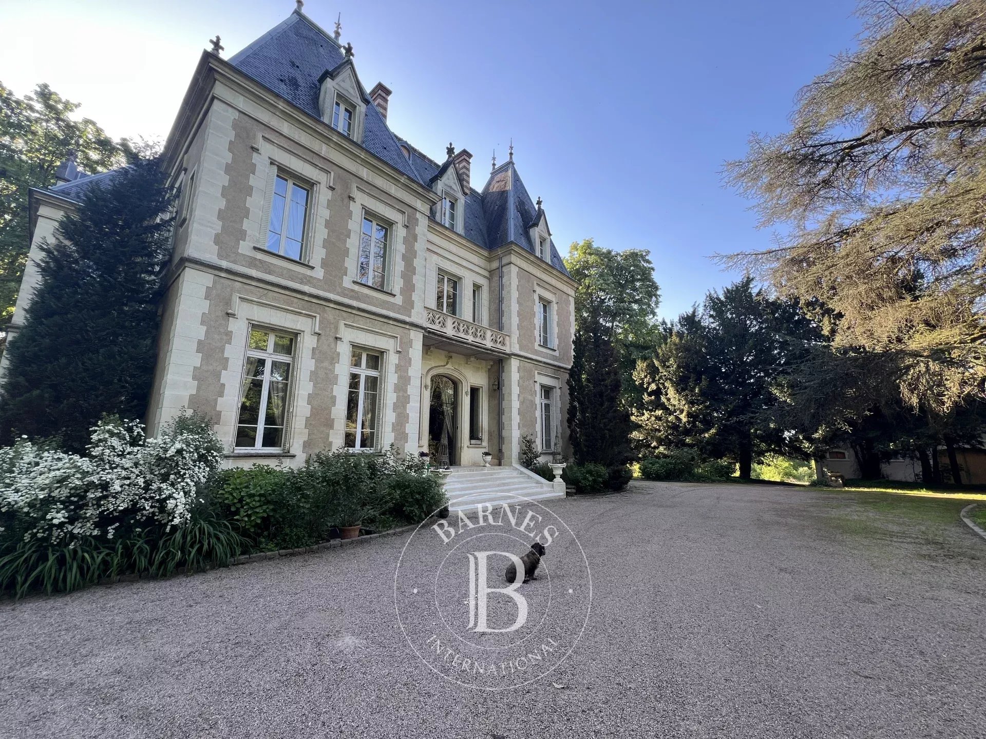 Tournus  - Château 20 Pi&egrave;ces 9 Chambres - picture 10