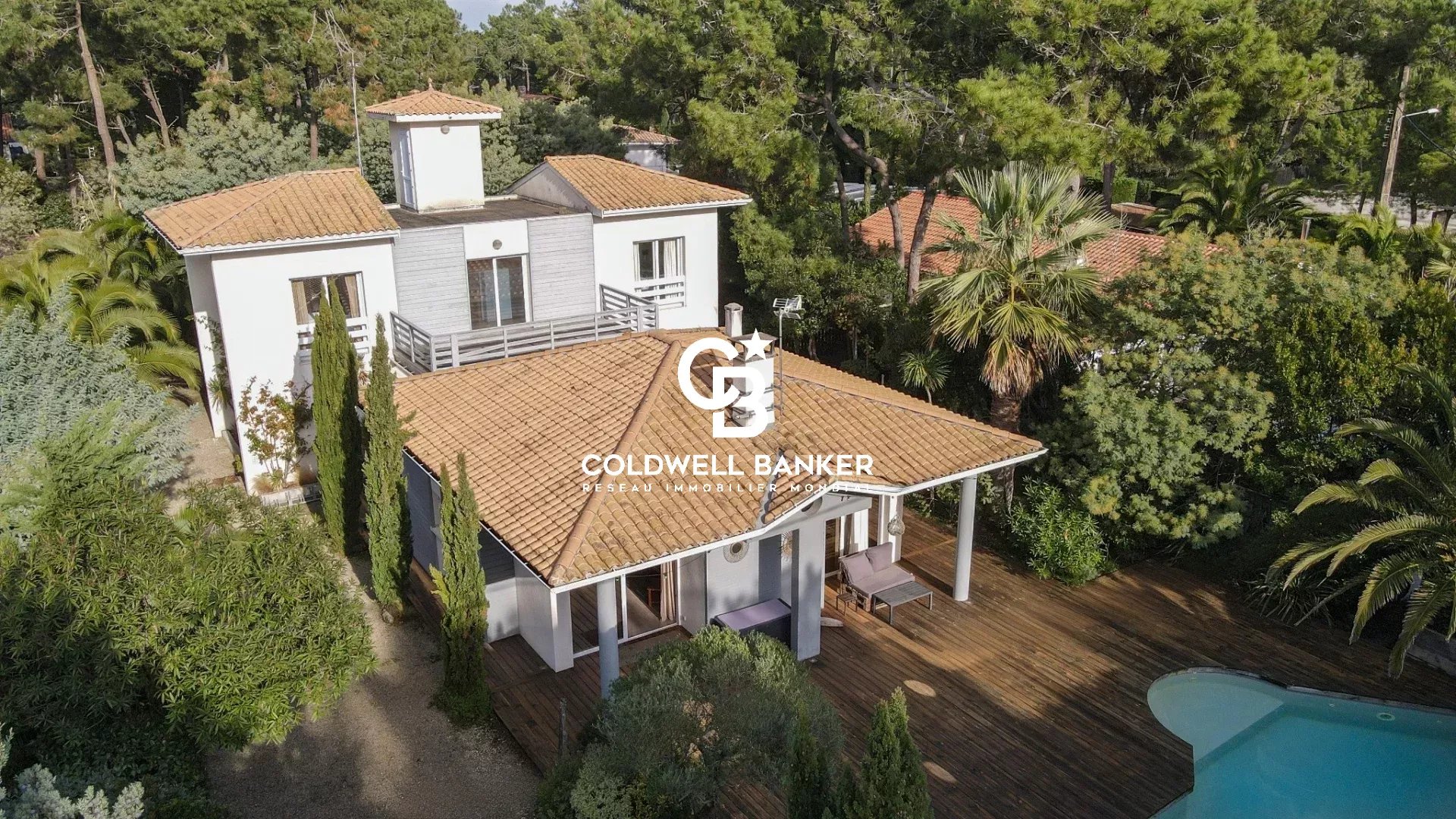 Agence immobilière de Silver Coast Int. Realty