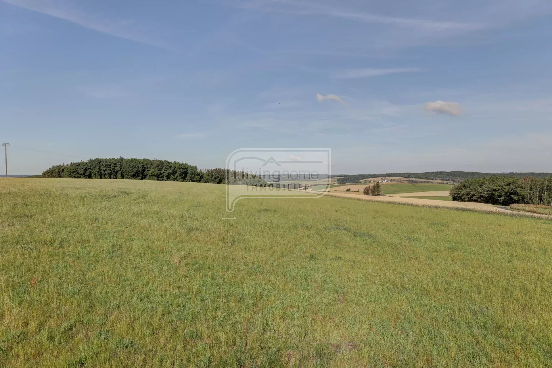 Vente Terrain constructible Boulaide