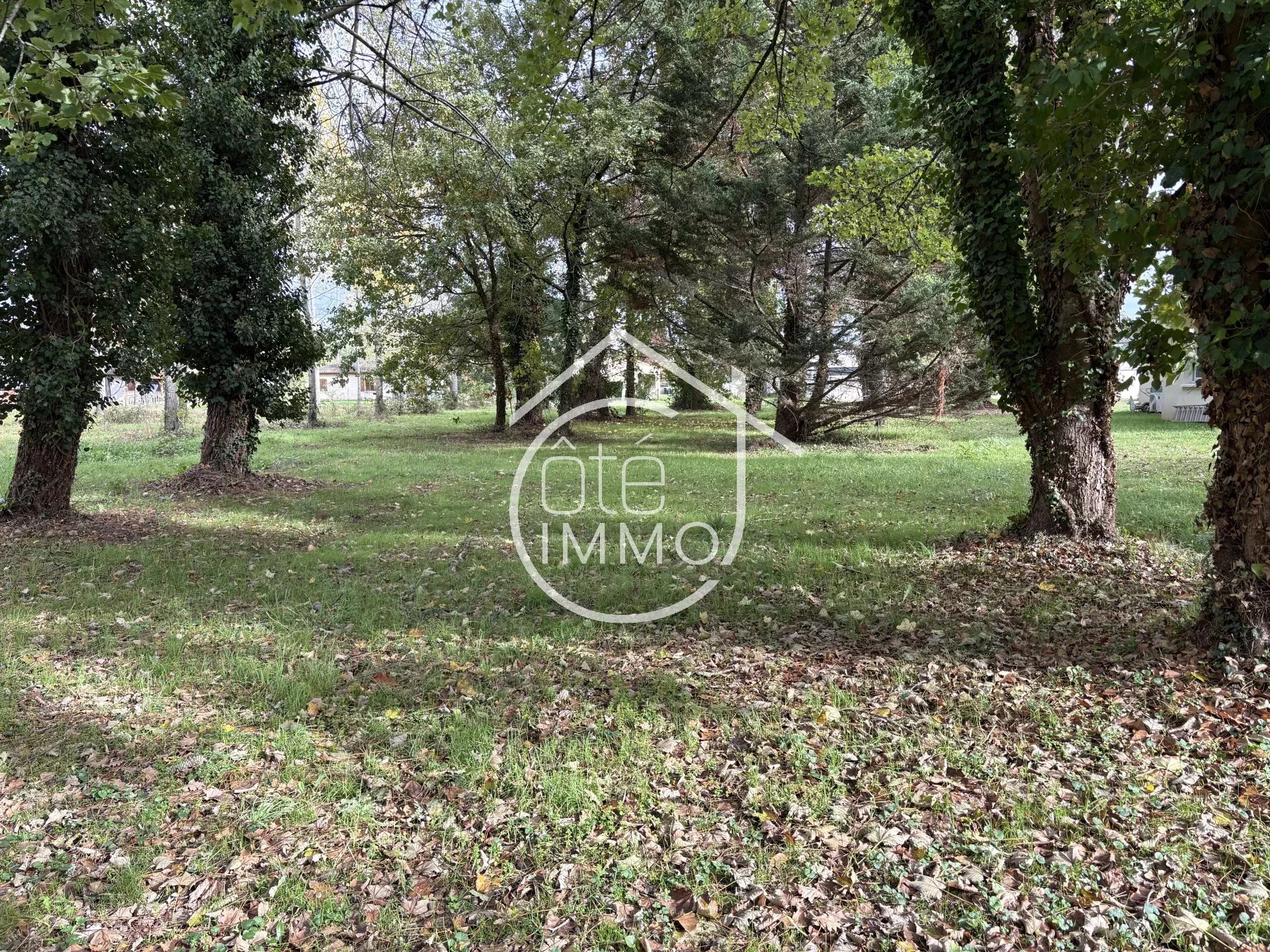 Agence immobilière de Agence Coteimmo.fr