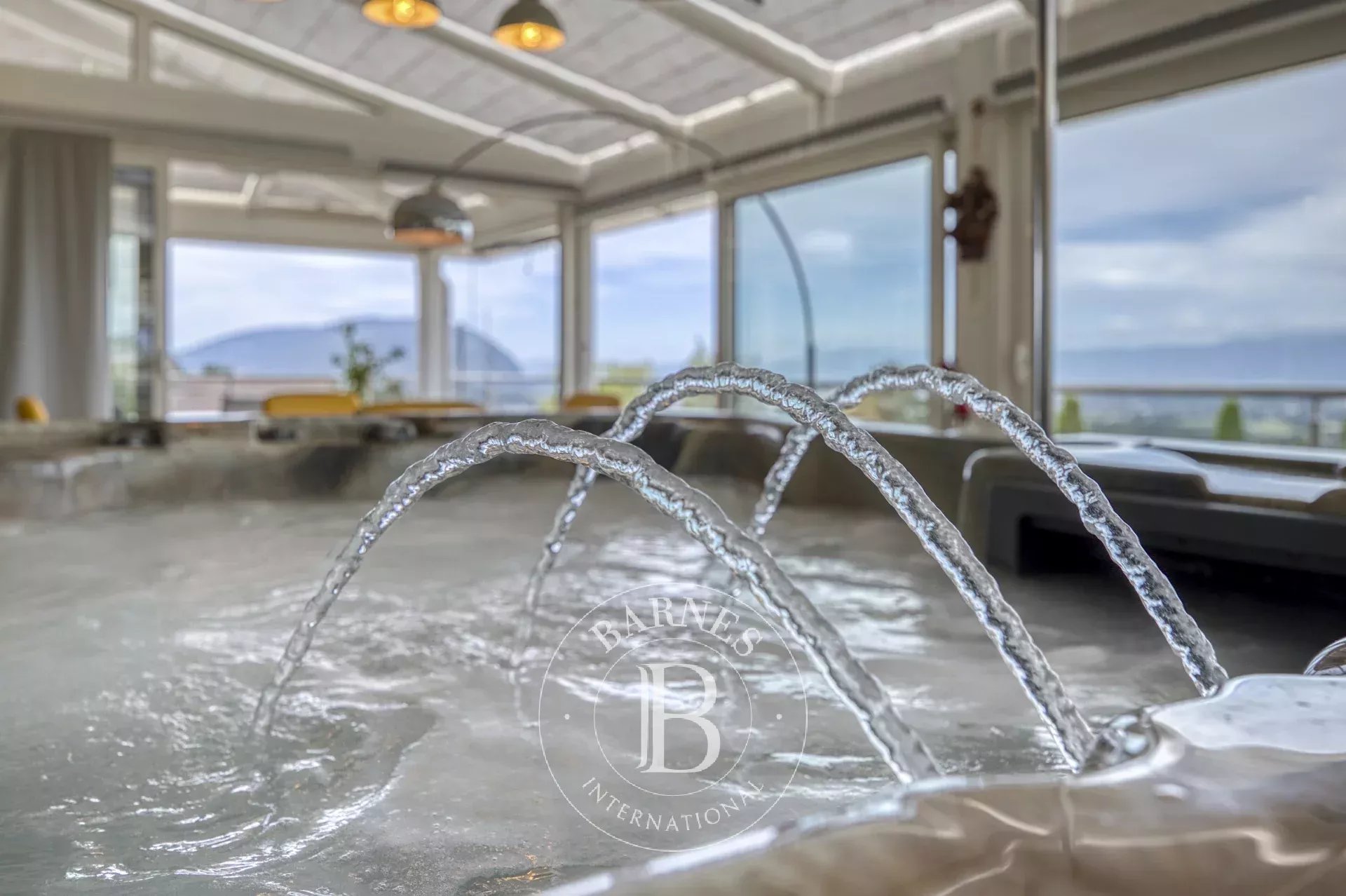 Ev Cranves-Sales - picture 9