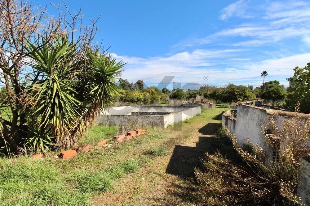Charming Countryside Gem Near Fuseta 85948757 image 26
