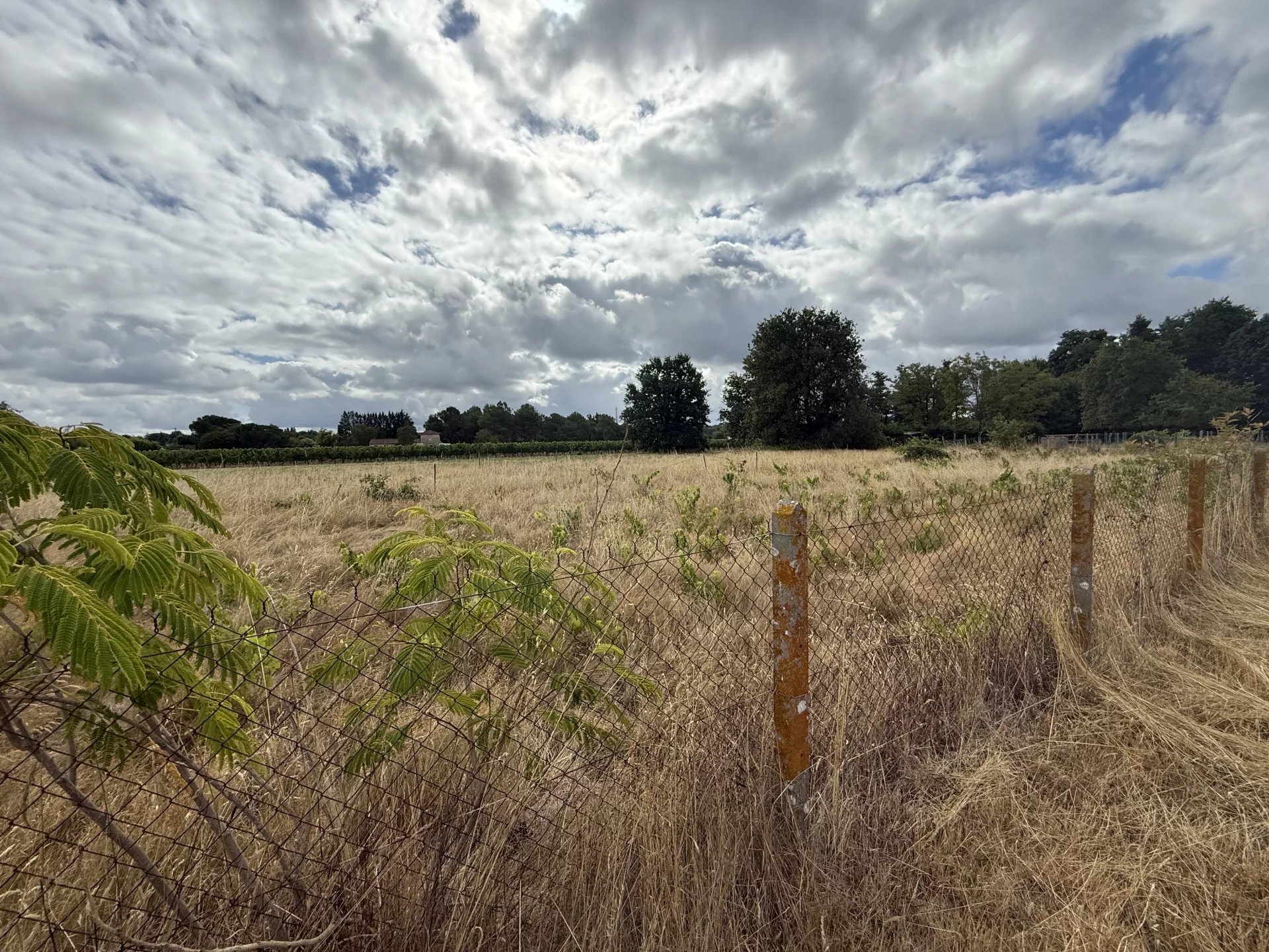 Agence immobilière de ROSER BEATRICE