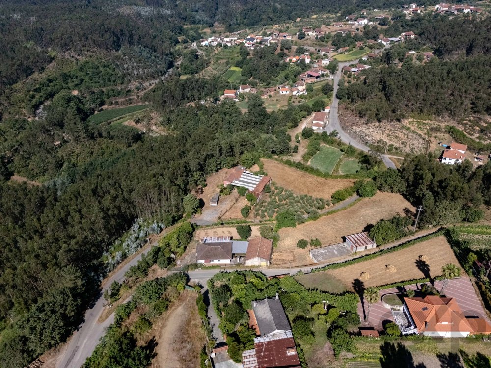 Quinta com Moradia T5 e 4 400 m² em Mortágua
