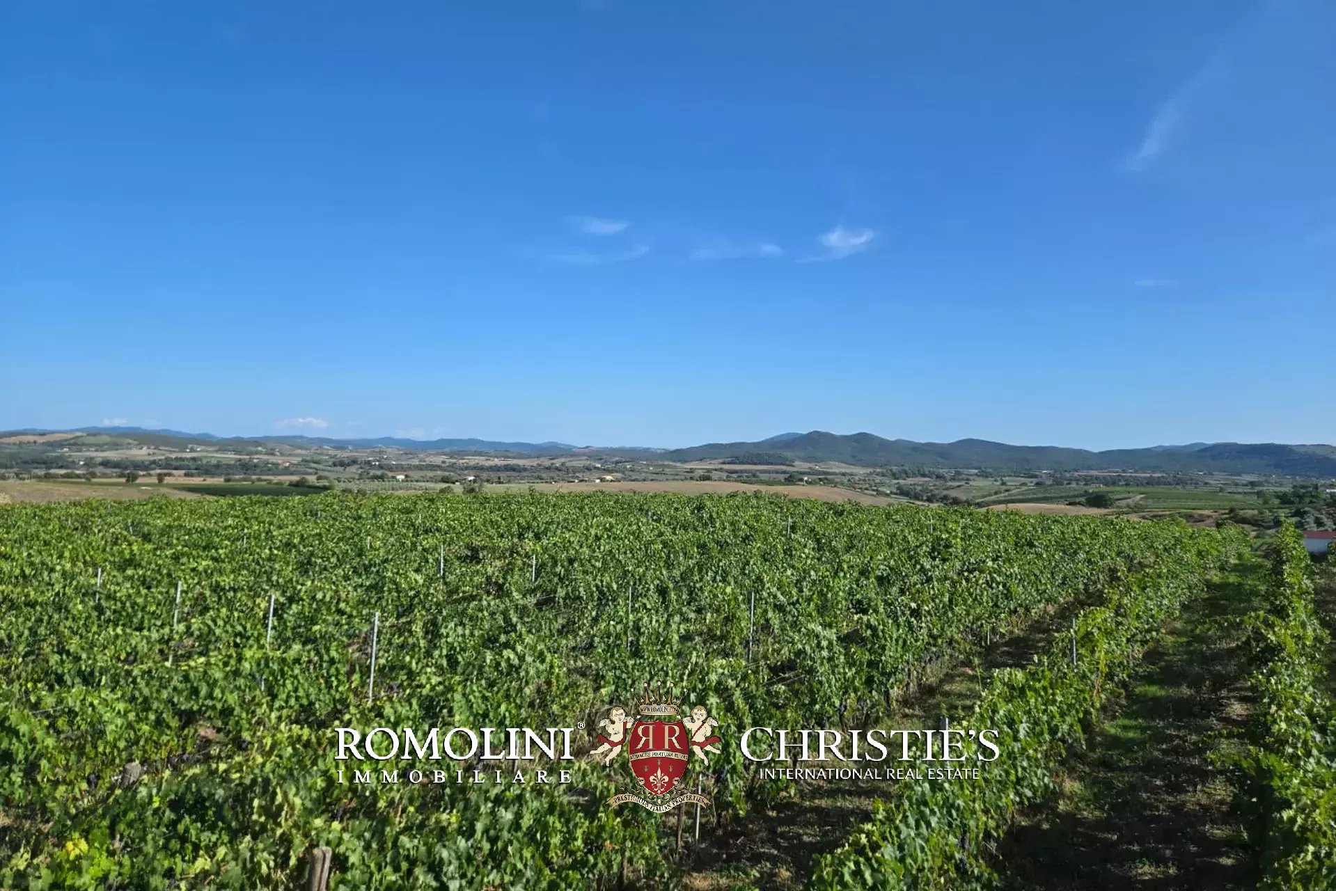 2 Bedroom Vineyard's Image 5