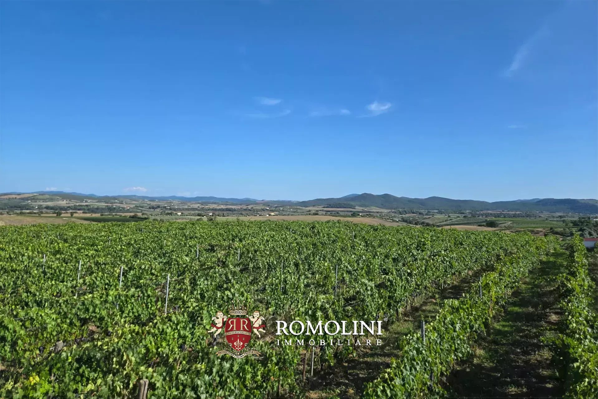 2 Bedroom Vineyard's Image 5