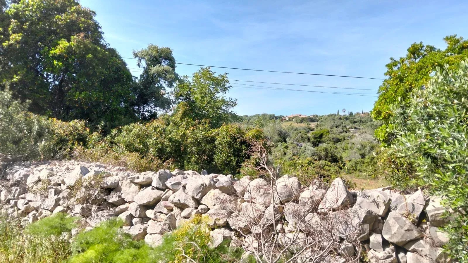1560 m² Non-Constructible Land in Santa Bárbara de Nexe 86947956 image 3