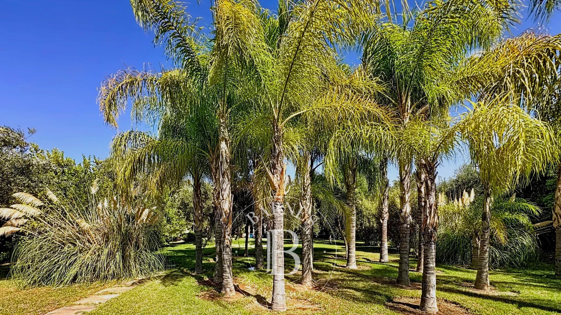 Вилла Marrakech - picture 4