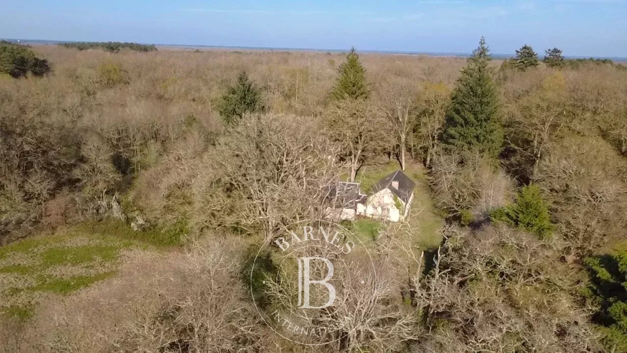 Salbris  - Domaine de chasse 10 Pi&egrave;ces 4 Chambres - picture 6