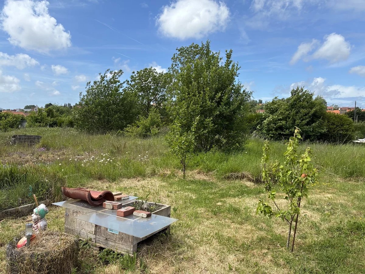 Vente Terrain constructible Samer