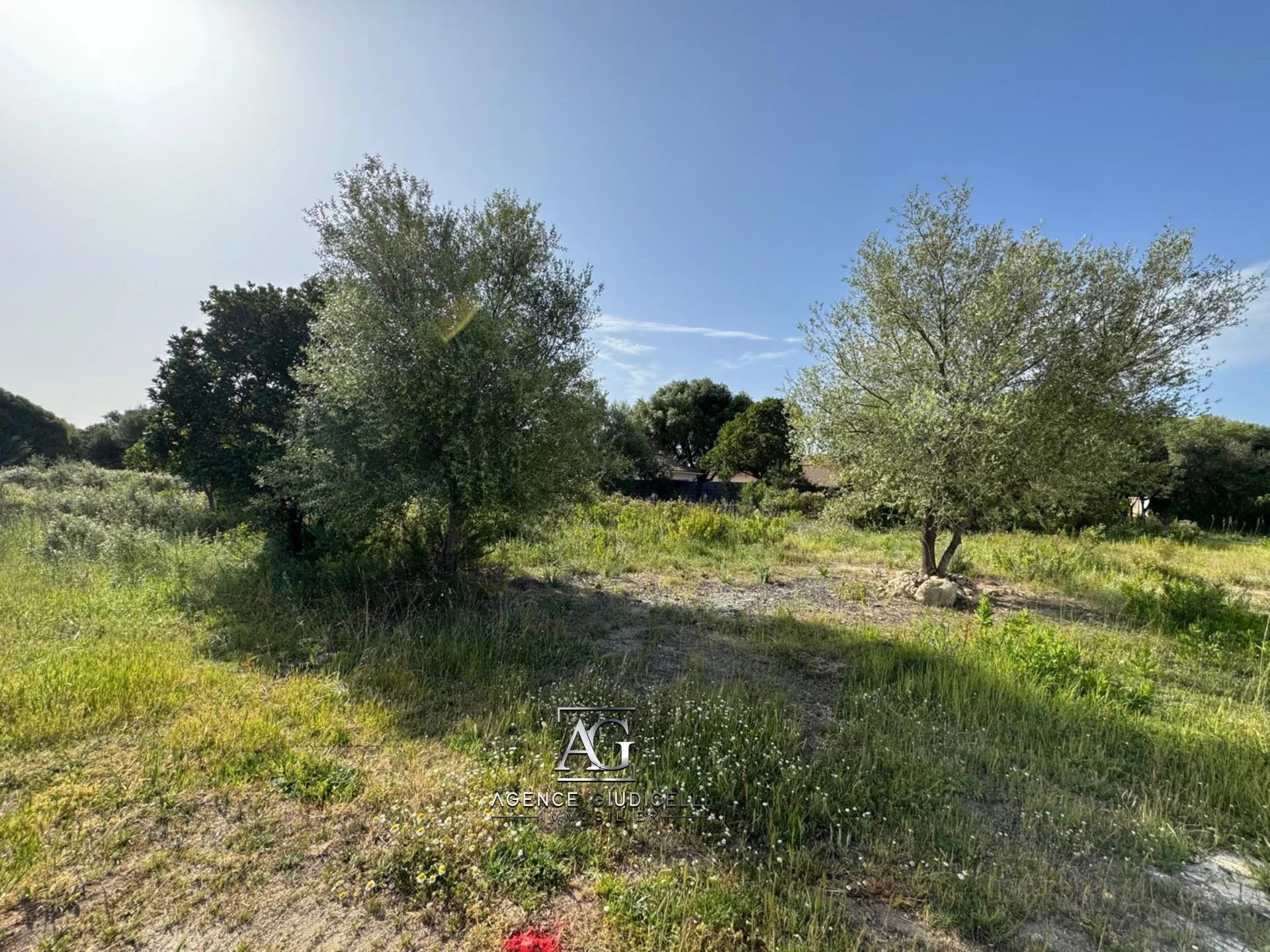 Vente Terrain constructible Ventiseri