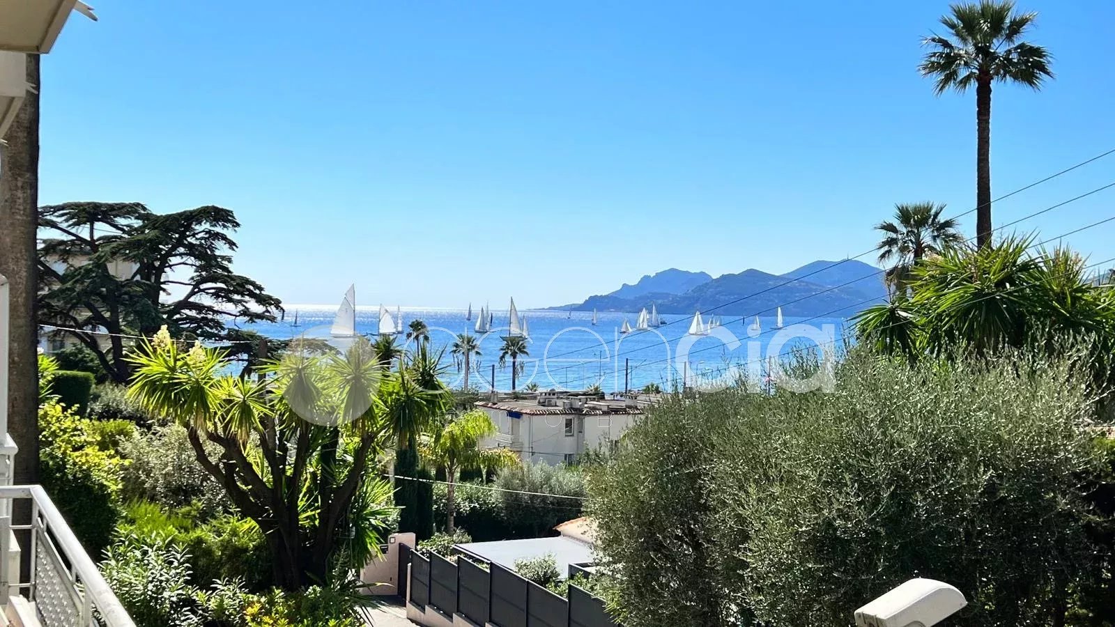 Agence immobilière de Agencia Saint-Pierre