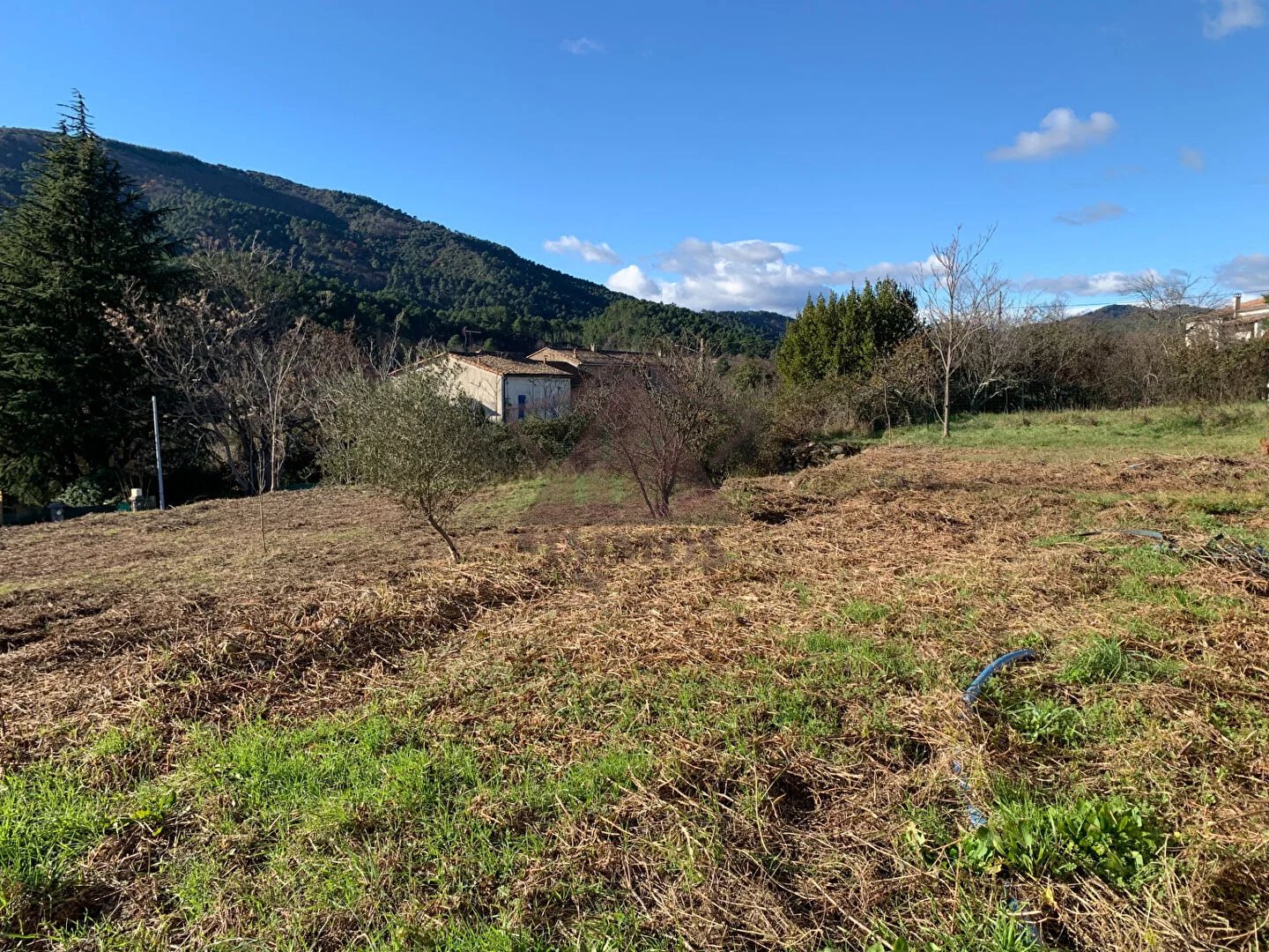 Vente Terrain Saint-Florent-sur-Auzonnet