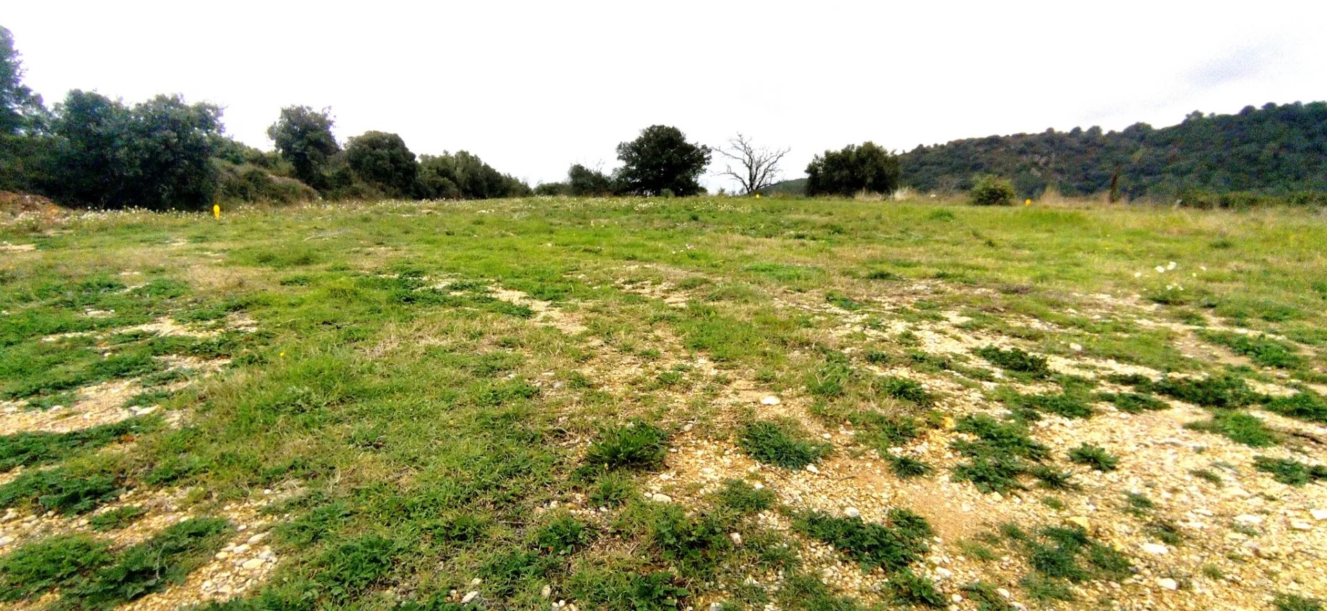 Vente Terrain Vendémian