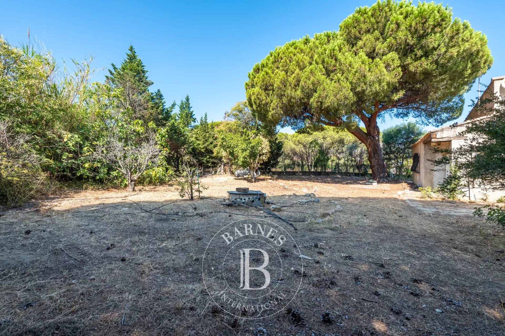 Villa Calvi - picture 14