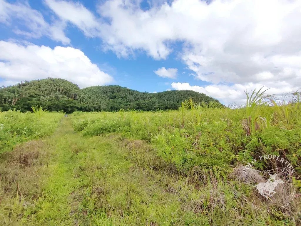 Sale Not constructible land