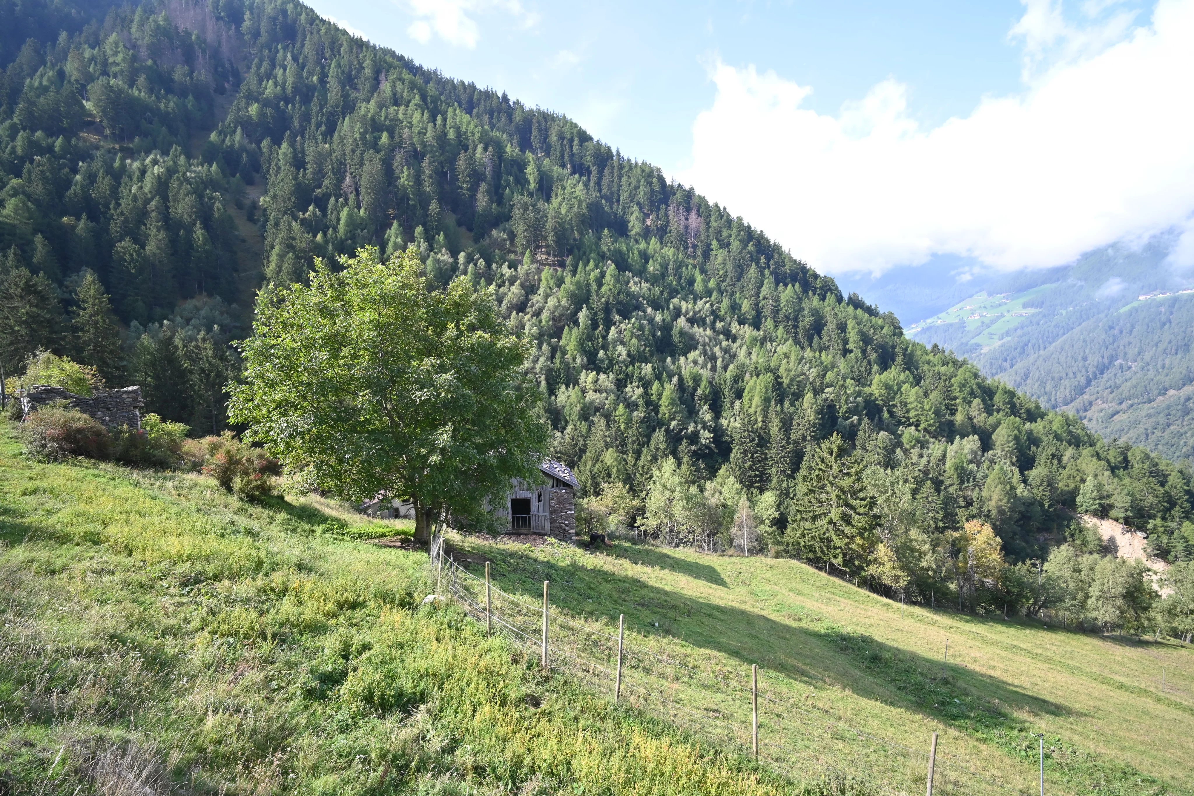 Verkauf 91 Latsch