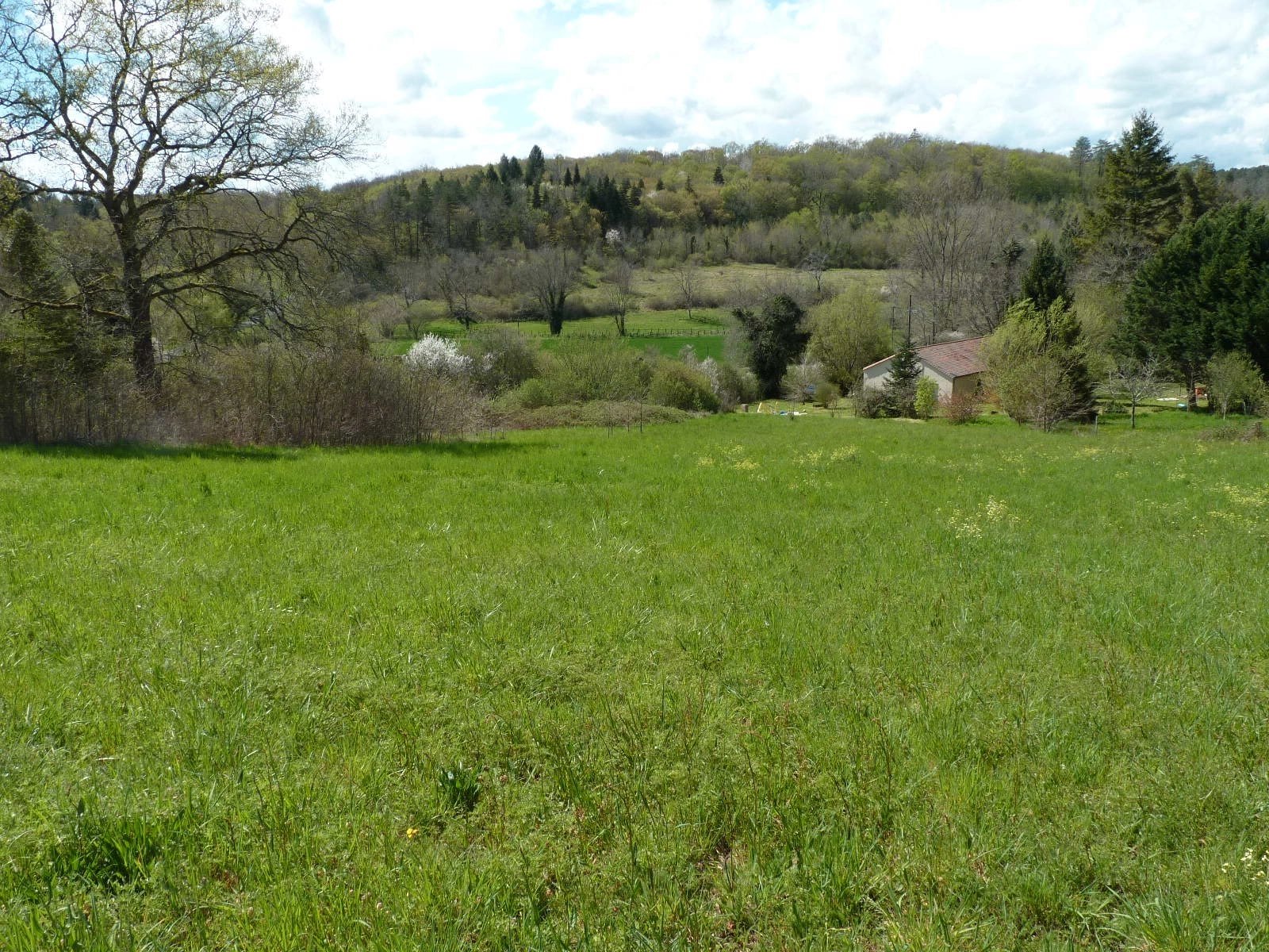 Nice plot of building land