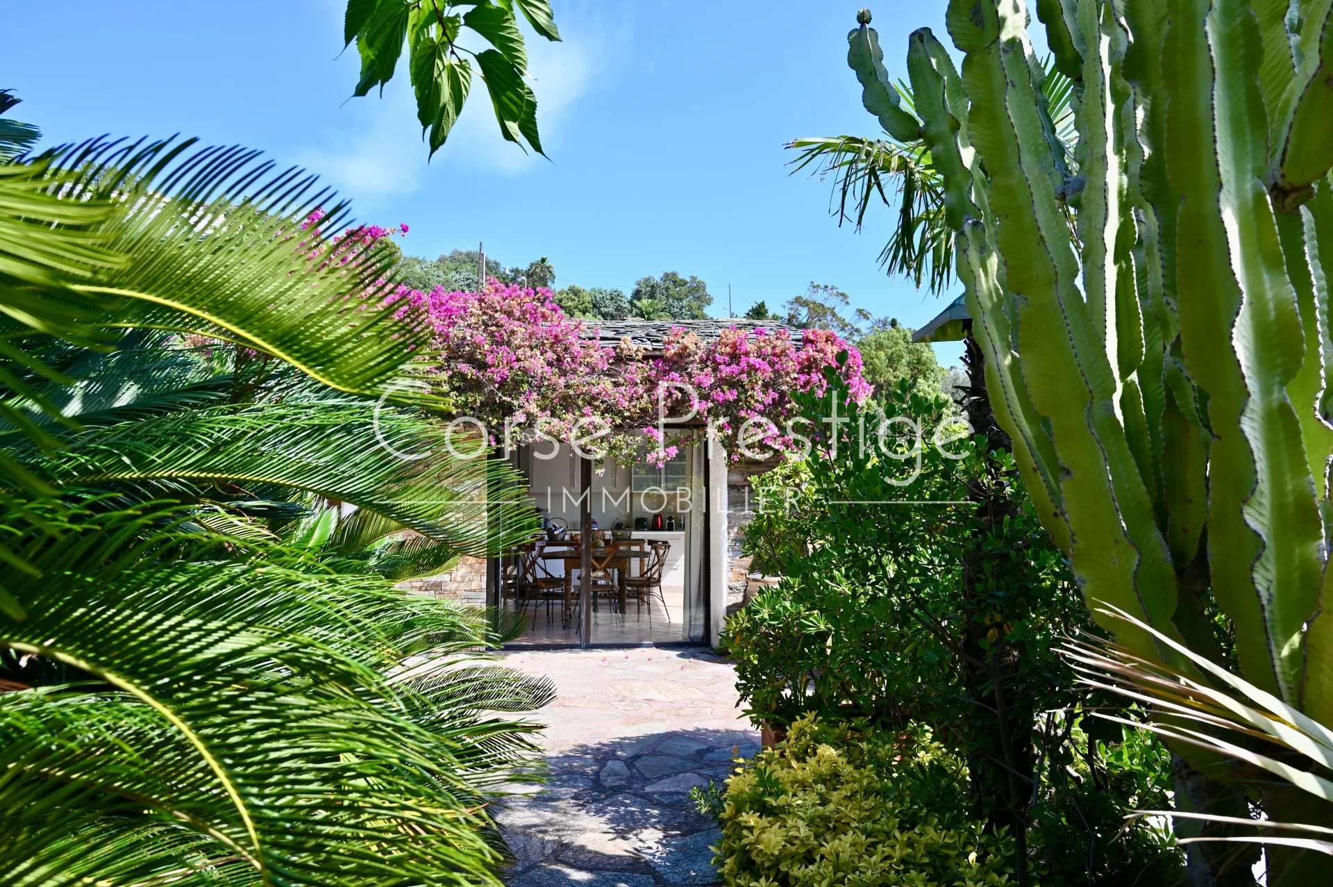 villa pieds dans l-eau - erbalunga - cap corse - haute corse image5