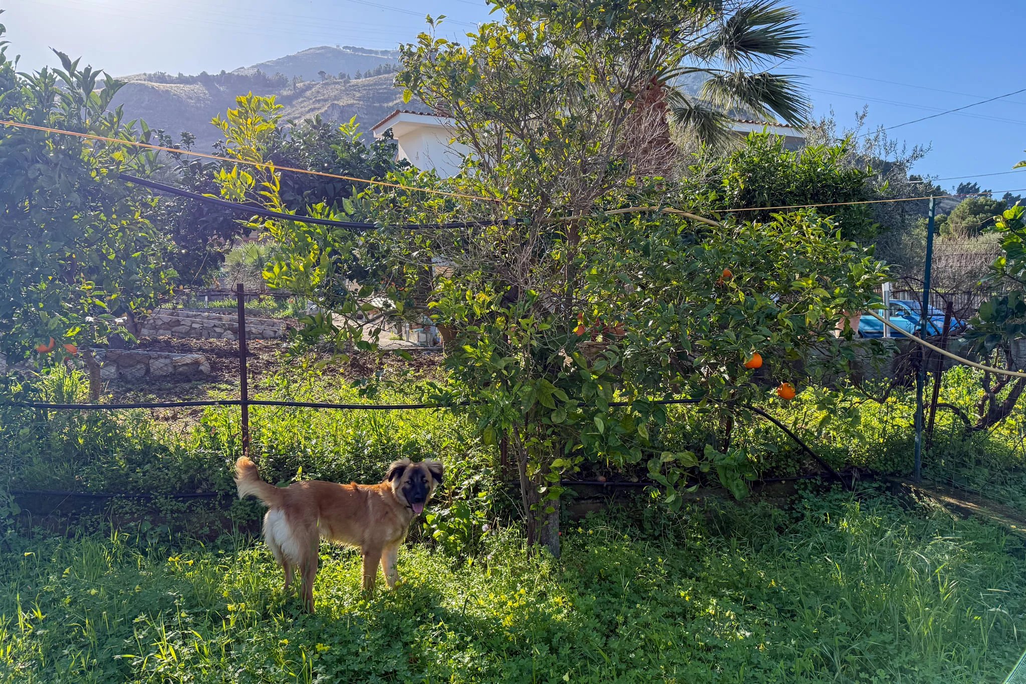 House in Torre Colonna-Sperone - Image 5