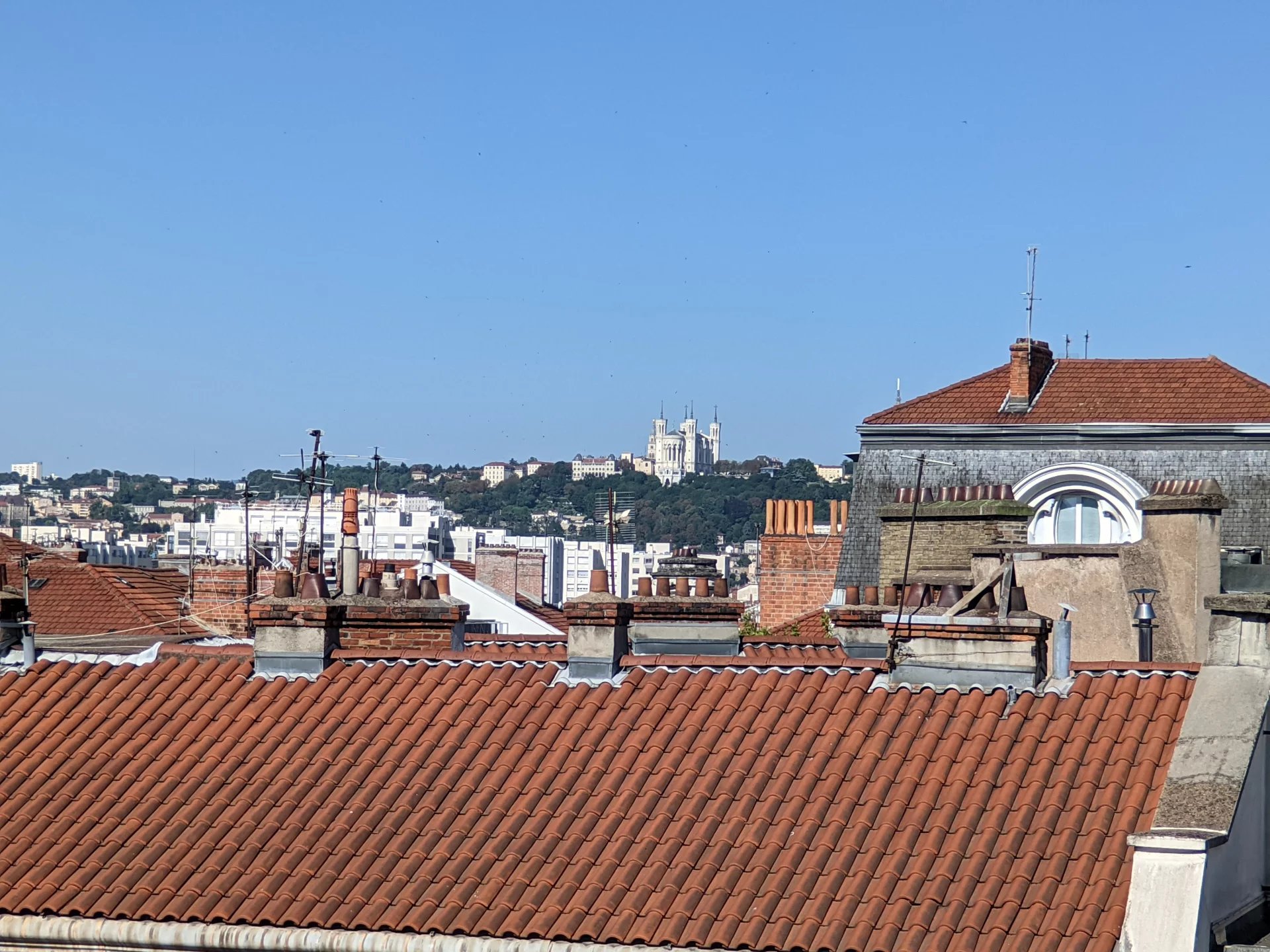 86209078 Location Lyon 6ème