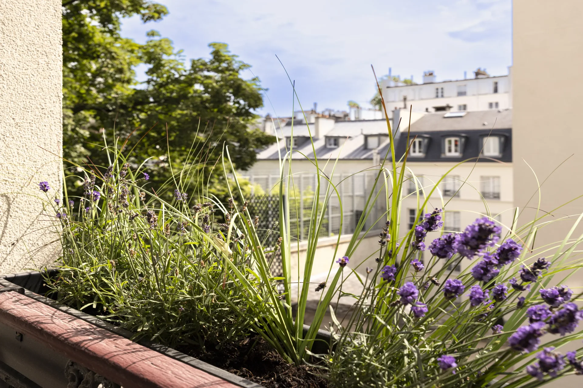 Paris 7e - BABYLONE / VANEAU