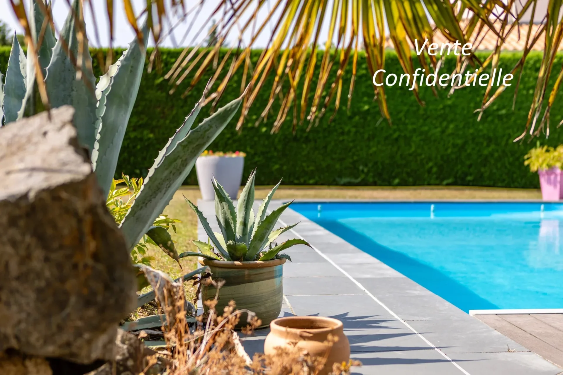 Vertou - VERTOU / LE CHÊNE