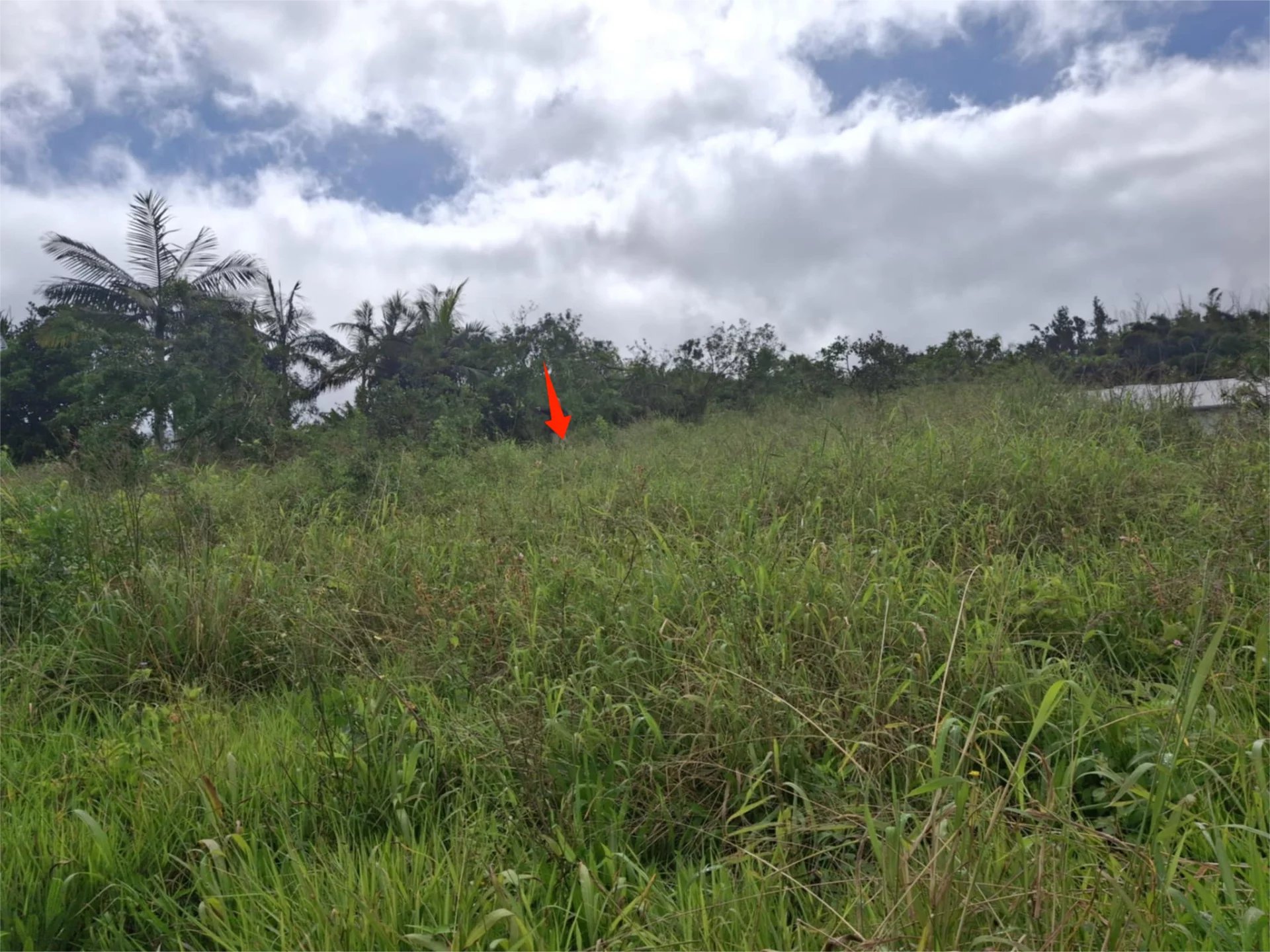 Terrain constructible de 542 m² avec vue mer